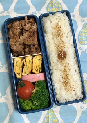 20190618マイ弁当-レシピのメイン写真