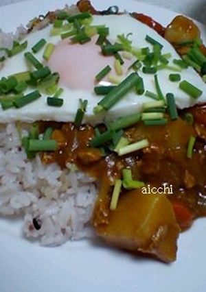 ★お肉の代わりに高野豆腐カレー★-レシピのメイン写真