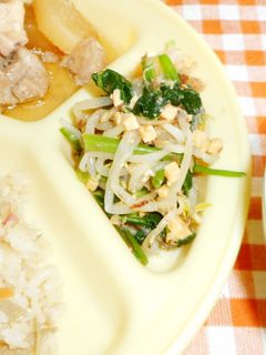 ほうれん草チーズおかか和え-レシピのメイン写真