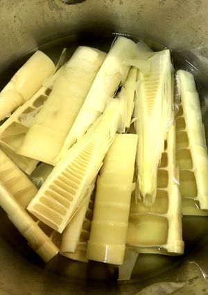 圧力鍋で破竹の下茹で-レシピのメイン写真