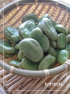 そら豆の茹で方-レシピのメイン写真