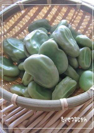 そら豆の茹で方-レシピのメイン写真