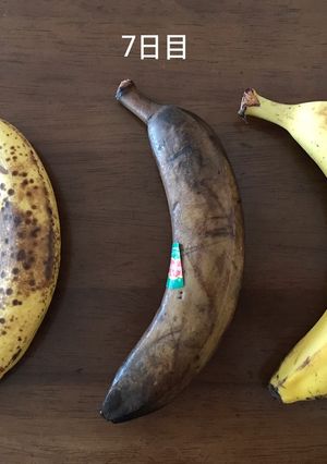 黒くならない夏のバナナ保存法-レシピのメイン写真