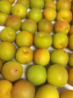 梅シロップ作り-レシピのメイン写真