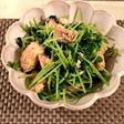 簡単ヘルシー サバと豆苗のピリ辛和え