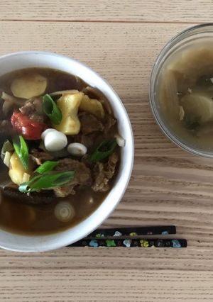 ドイツでカレーうどん-レシピのメイン写真