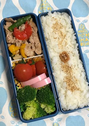 20190619マイ弁当-レシピのメイン写真