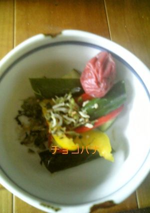 ささっとお漬物☆-レシピのメイン写真