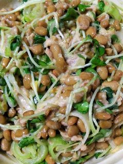 簡単!ツナとカイワレの納豆和え-レシピのメイン写真