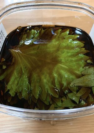 青じその醤油漬け-レシピのメイン写真