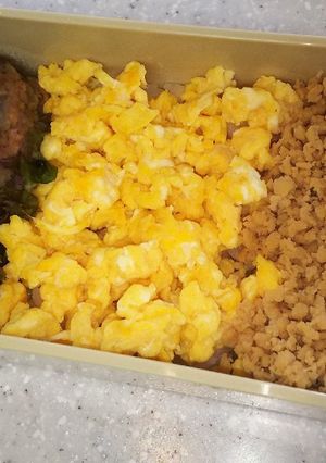 2019/6/19ママ弁当-レシピのメイン写真