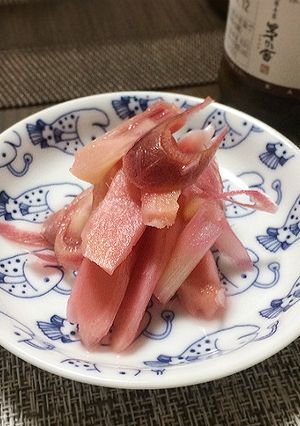 初夏に♪「新生姜の梅酢漬け」-レシピのメイン写真