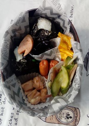6月20日旦那ちゃん曲げわっぱ弁当。-レシピのメイン写真