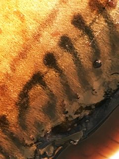 サバの煮付け☆-レシピのメイン写真