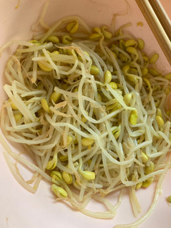 作り置き簡単豆もやしナムル-レシピのメイン写真