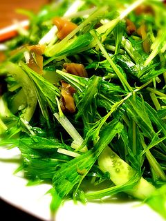 中華風 搾菜サラダ-レシピのメイン写真