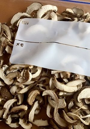 椎茸の保存法、スライス干し椎茸♪-レシピのメイン写真