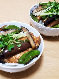 鳥むね肉・野菜南蛮 乗せ 冷やしうどん-レシピのメイン写真