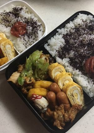高校生お弁当（2019.6.21）-レシピのメイン写真