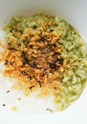 犬ご飯　二色おじや-レシピのメイン写真