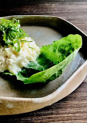ザワークラウト豆腐サラダ-レシピのメイン写真