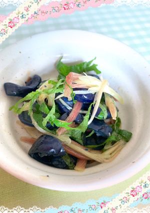 酸っぱくなった茄子漬けの食べ方-レシピのメイン写真