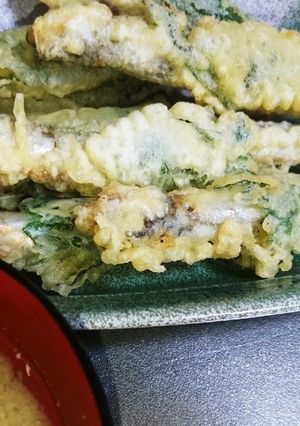 ししゃもの大葉巻き 天ぷら-レシピのメイン写真