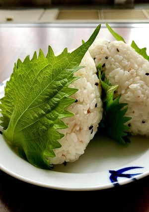 しそ巻き＊梅干しとツナマヨ入りおにぎり-レシピのメイン写真