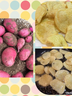ポテトチップス-レシピのメイン写真