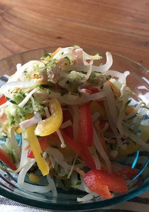 野菜たっぷり彩りきれいな冷やし麺-レシピのメイン写真