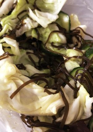 キャベツときゅうりの塩昆布-レシピのメイン写真
