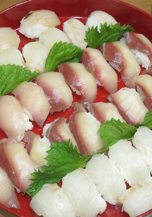釣った魚で「握り寿司」-レシピのメイン写真