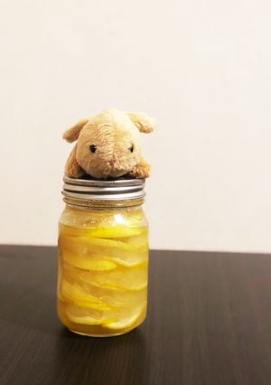 夏にピッタリすっきりレモンシロップ♪-レシピのメイン写真