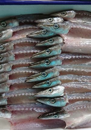 カマスの干物-レシピのメイン写真