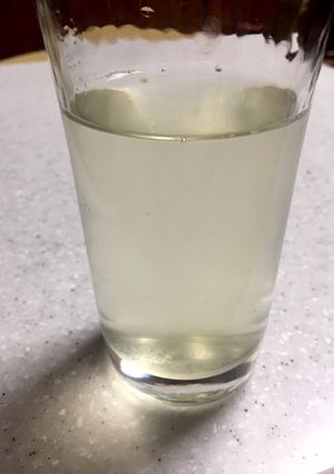 ♪青梅の酵素シロップ♪-レシピのメイン写真