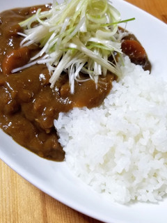 カレーライスIN白髪ネギ♡-レシピのメイン写真