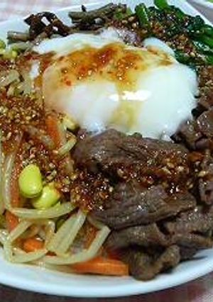 ビビンバ丼-レシピのメイン写真