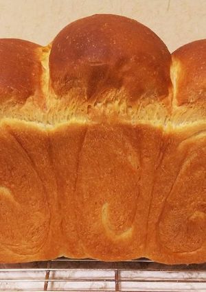 毎日の食パン-レシピのメイン写真