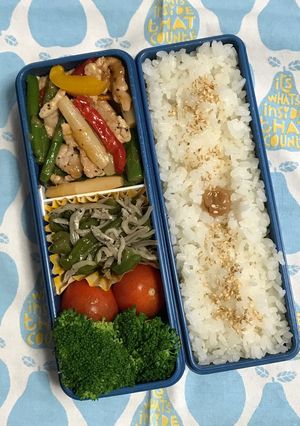 20190625マイ弁当-レシピのメイン写真