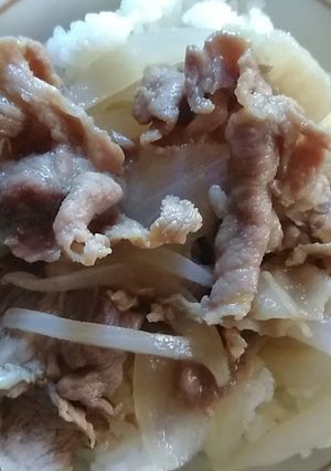 豚丼-レシピのメイン写真