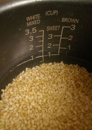 玄米もち米の炊き方(炊飯器)-レシピのメイン写真