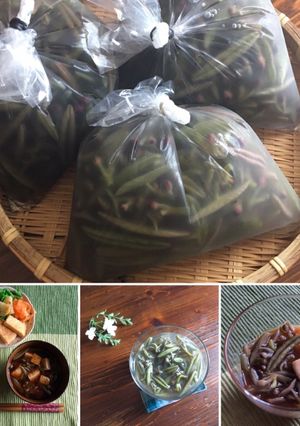 【秋田】じゅん菜の湯がき方&食べ方-レシピのメイン写真