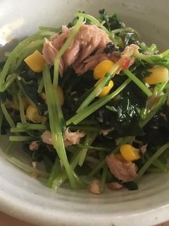ツナと豆苗のサラダ-レシピのメイン写真