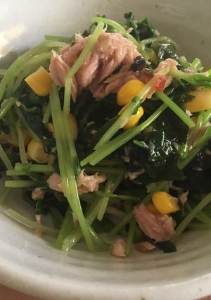 ツナと豆苗のサラダ-レシピのメイン写真
