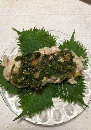蒸し鶏の薬味ソースがけ-レシピのメイン写真