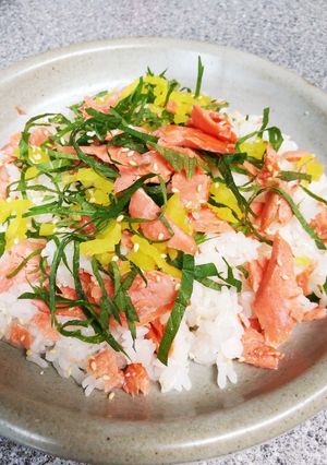 調味料は塩だけのあっさり鮭ごはん♪-レシピのメイン写真