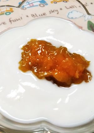 ヨーグルトの梅肉ジャム乗せ♪-レシピのメイン写真