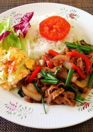牛肉と野菜のガラムマサラ炒め♪☆♪☆♪-レシピのメイン写真