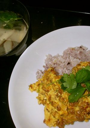 麻婆豆腐の素で納豆オムレツ丼-レシピのメイン写真