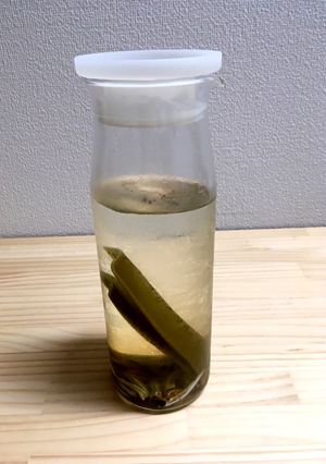 【日々食】水だし 煮物だし2-レシピのメイン写真